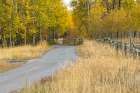 Bike path in autumn-Grand Teton National Park-Wyoming Art Print